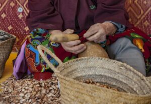 woman cracking argan fruits