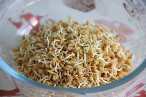 FENUGREEK for hair