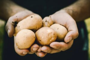 POTATO JUICE for hair